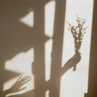Cratouille - Shadow