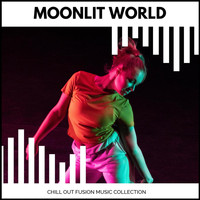 Andy Satya - Moonlit World - Chill Out Fusion Music Collection