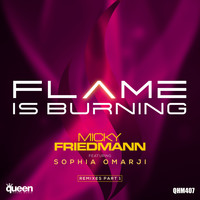 Micky Friedmann - Flame Is Burning (Remixes Part 1)