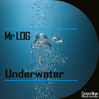 Mr Log - Underwater