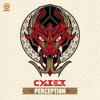 Cyber - Perception