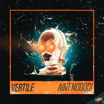 Vertile - Ain't Nobodi