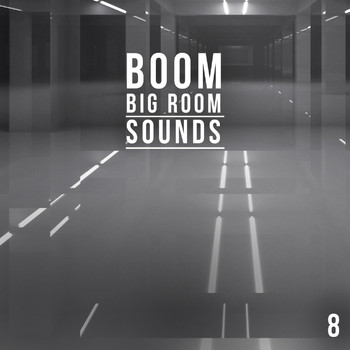 Various Artists - Boom, Vol. 8 - Big Room Sounds