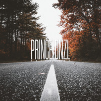 PRINCE DNZL - Traveller