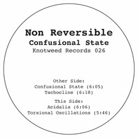 Non Reversible - Confusional State
