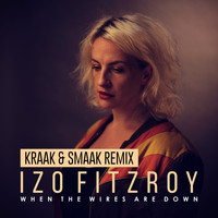 Izo FitzRoy - When the Wires Are Down (Kraak & Smaak Remix)