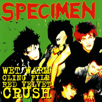 Specimen - Wet Warm Cling Film Red Velvet Crush
