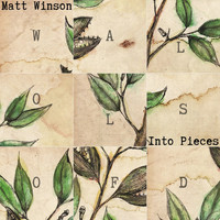 Matt Winson - Into Pieces