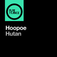 Hoopoe - Hutan