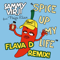 Sammy Virji and Flava D - Spice Up My Life (Flava D Remix)