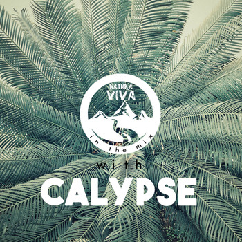 Various Artists - Natura Viva in the Mix with Calypse (Explicit)