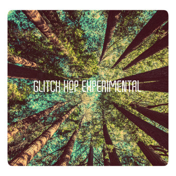 Various Artists - Glitch Hop Experimental