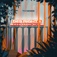 TV Noise - Des Right (Extended Mix)