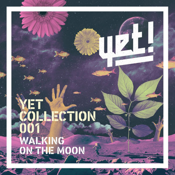 Various Artists - Walking on the Moon