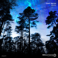 Oliver Martini - Transition