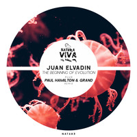 Juan Elvadin - The Beginning of Evolution