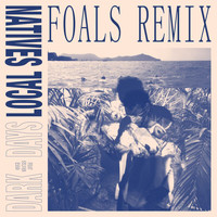 Local Natives - Dark Days (Foals Remix)