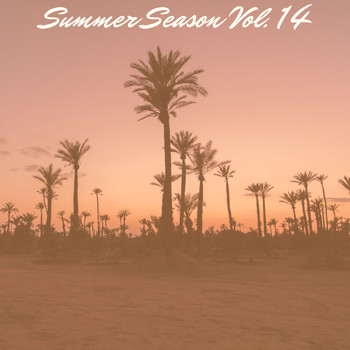 Various Artists - Summer Season Vol. 14