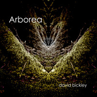David Bickley - Arborea