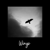 J-C Viens / - Wings