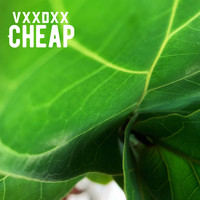 VXXDXX / - Cheap