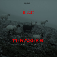 Lil Ugly - Thrasher (Explicit)