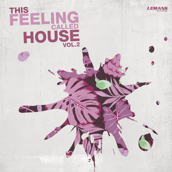 Various Artists - This Feeling Called House, Vol. 2