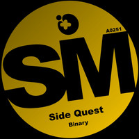 Side Quest - Binary