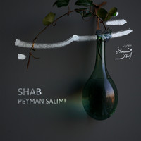 Peyman Salimi - Shab