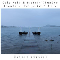 Nature Therapy - Cold Rain & Distant Thunder Sounds at the Jetty: One Hour