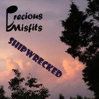 Precious Misfits - Shipwrecked