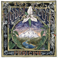 The Muddy Souls - Medicine