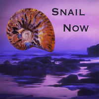 Snail - Snail Now