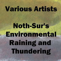 Various Artists - Noth-Sur's Environmental Raining and Thundering