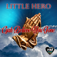 Little Hero - Can't Believe You Gone