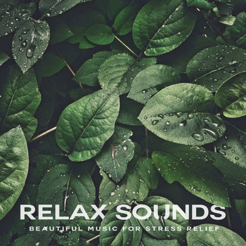 Various Artists - Relax Sounds
