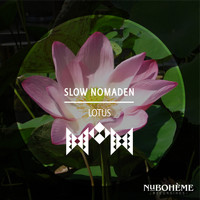 Slow Nomaden - Lotus (Radio Edit)