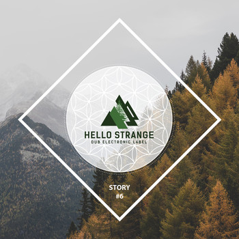 Various Artists - Hello Strange Story #6