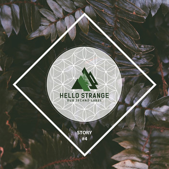 Various Artists - Hello Strange Story #4