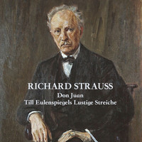 Thomas Brandis - Strauss: Don Juan/Till Eulenspiegels Lustige Streiche