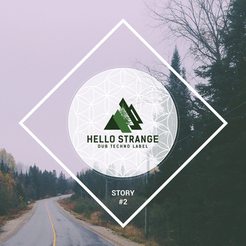 Various Artists - Hello Strange Story #2