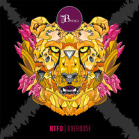Ntfo - Overdose