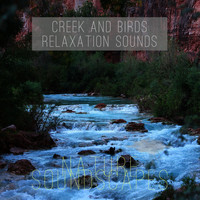 Nature Soundscapes - Creek and Birds Relaxation Sounds
