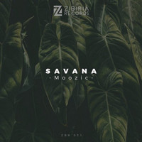 Moozic - Savana