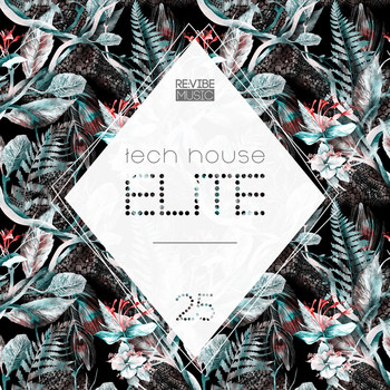 Various Artists - Tech House Elite, Issue 25 (Explicit)
