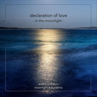 Andrei Poliakov - Declaration of Love in the Moonlight