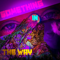 The Waking Point - Something in the Way