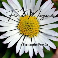 Fernando Pessôa - Flor de Margarida