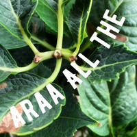 Araa / - All The