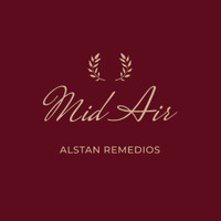 Alstan Remedios - Mid Air
